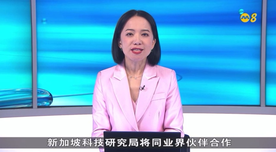 Mediacrop News December 2025